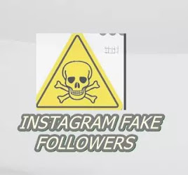Insta Fake Followers disadvantages