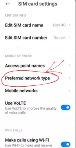  Preferred network type option