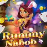 Rummy Nabob Dragon vs Tiger Download – rs51 free
