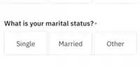 Marital status option